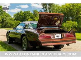 1977 Pontiac Firebird Trans Am (CC-2102426) for sale in Milford, Michigan