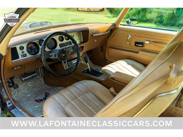 1977 Pontiac Firebird Trans Am (CC-2102426) for sale in Milford, Michigan