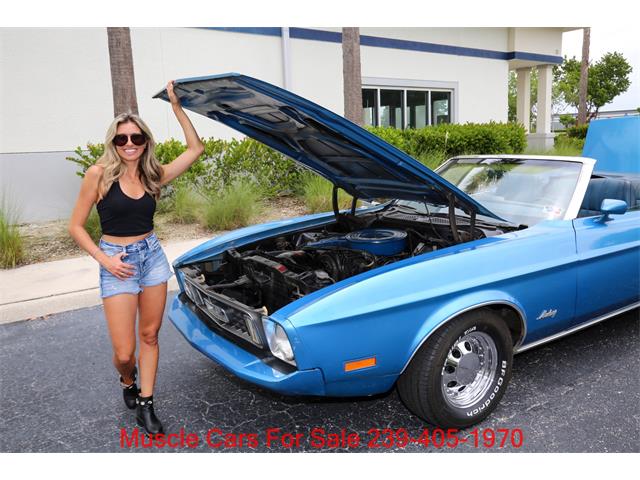 1973 Ford Mustang (CC-2102496) for sale in Fort Myers, Florida