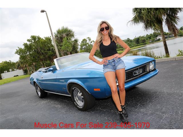 1973 Ford Mustang (CC-2102496) for sale in Fort Myers, Florida