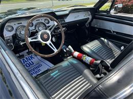 1967 Ford Mustang (CC-2102526) for sale in TORONTO, Ontario