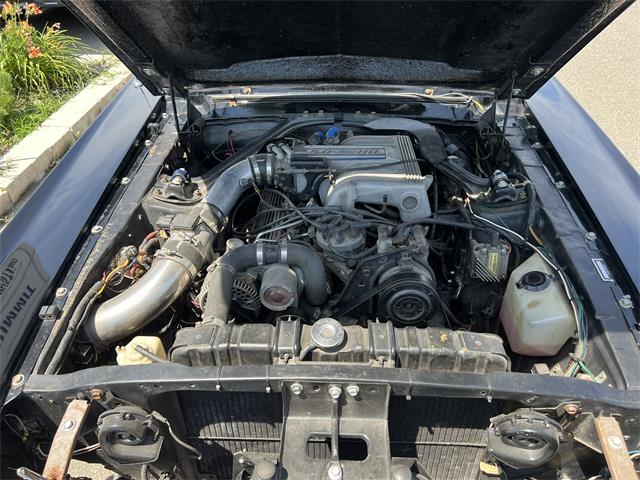 1967 Ford Mustang (CC-2102526) for sale in TORONTO, Ontario