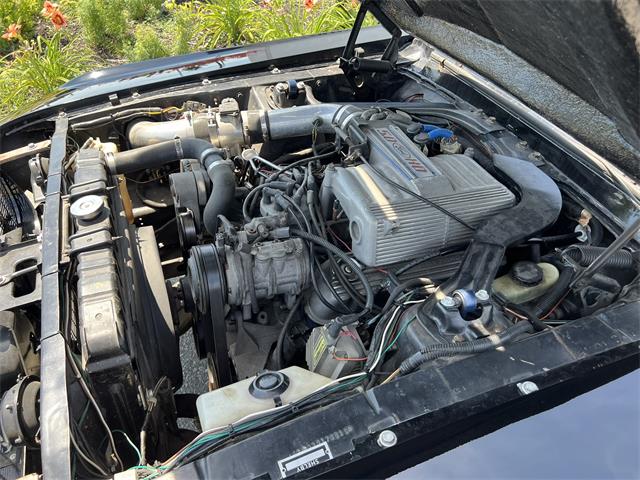 1967 Ford Mustang (CC-2102526) for sale in TORONTO, Ontario