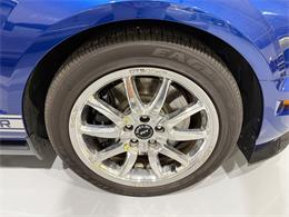 2009 Ford Shelby GT500  (CC-2102539) for sale in Watford, Ontario
