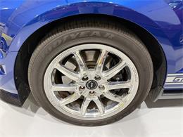 2009 Ford Shelby GT500  (CC-2102539) for sale in Watford, Ontario