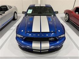 2009 Ford Shelby GT500  (CC-2102539) for sale in Watford, Ontario
