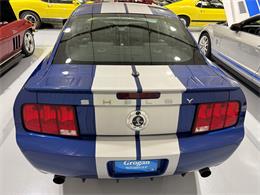 2009 Ford Shelby GT500  (CC-2102539) for sale in Watford, Ontario
