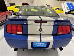 2009 Ford Shelby GT500  (CC-2102539) for sale in Watford, Ontario