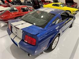 2009 Ford Shelby GT500  (CC-2102539) for sale in Watford, Ontario