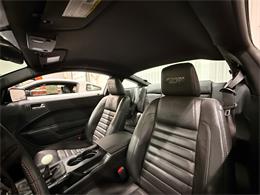 2009 Ford Shelby GT500  (CC-2102539) for sale in Watford, Ontario