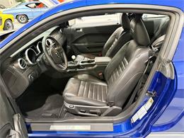 2009 Ford Shelby GT500  (CC-2102539) for sale in Watford, Ontario