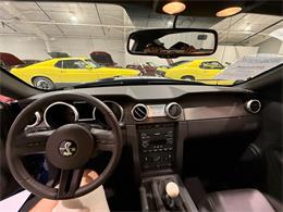 2009 Ford Shelby GT500  (CC-2102539) for sale in Watford, Ontario