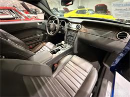 2009 Ford Shelby GT500  (CC-2102539) for sale in Watford, Ontario