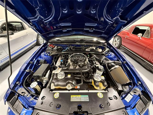 2009 Ford Shelby GT500  (CC-2102539) for sale in Watford, Ontario