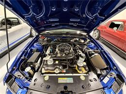 2009 Ford Shelby GT500  (CC-2102539) for sale in Watford, Ontario