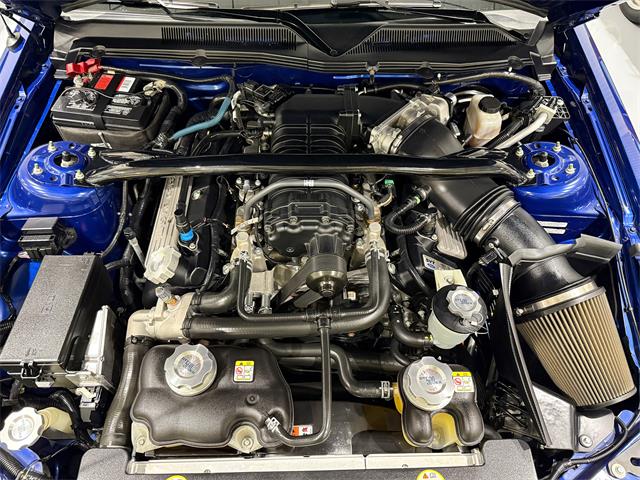 2009 Ford Shelby GT500  (CC-2102539) for sale in Watford, Ontario