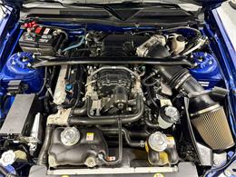 2009 Ford Shelby GT500  (CC-2102539) for sale in Watford, Ontario