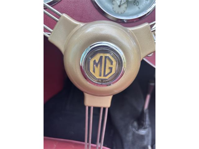 1953 MG TD (CC-2100254) for sale in Hilton Head , South Carolina