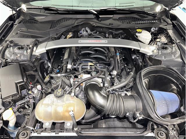 2018 Ford Mustang (CC-2102547) for sale in Watford, Ontario