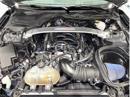 2018 Ford Mustang (CC-2102547) for sale in Watford, Ontario