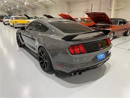 2018 Ford Mustang (CC-2102547) for sale in Watford, Ontario