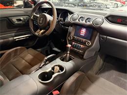2018 Ford Mustang (CC-2102547) for sale in Watford, Ontario