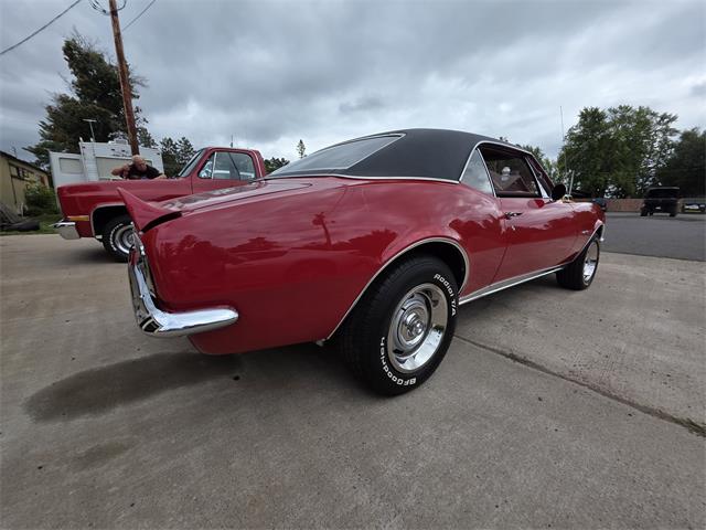 1967 Chevrolet Camaro RS/SS (CC-2102571) for sale in Waconia , Minnesota