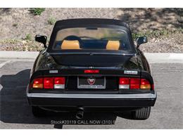1990 Alfa Romeo Spider (CC-2102583) for sale in Beverly Hills, California