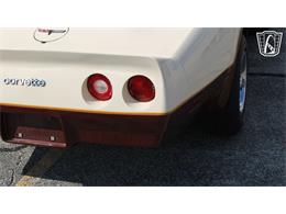 1981 Chevrolet Corvette (CC-2102591) for sale in Crete, Illinois