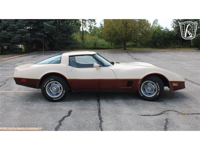 1981 Chevrolet Corvette (CC-2102591) for sale in Crete, Illinois