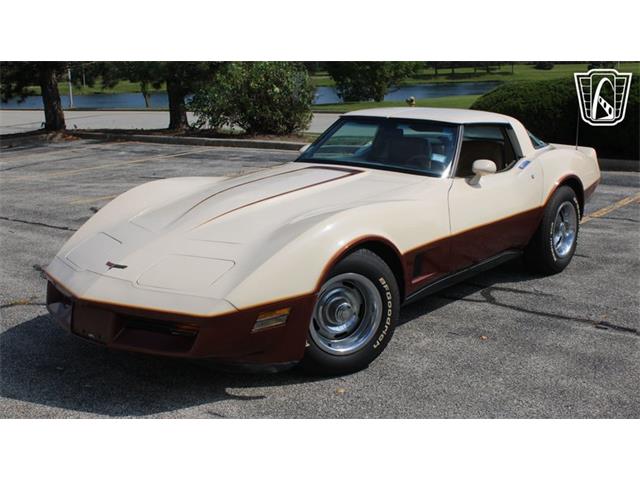 1981 Chevrolet Corvette (CC-2102591) for sale in Crete, Illinois