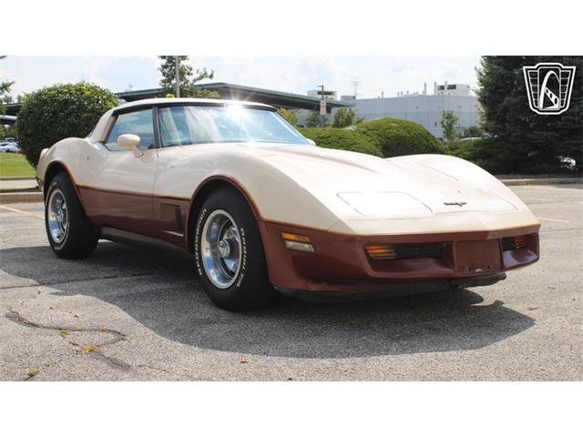 1981 Chevrolet Corvette (CC-2102591) for sale in Crete, Illinois