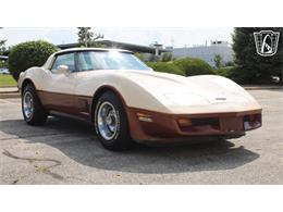 1981 Chevrolet Corvette (CC-2102591) for sale in Crete, Illinois