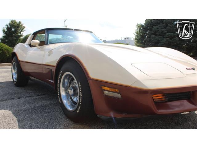 1981 Chevrolet Corvette (CC-2102591) for sale in Crete, Illinois
