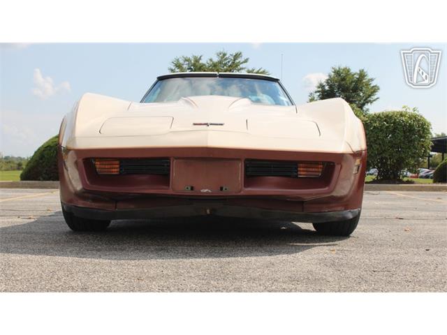 1981 Chevrolet Corvette (CC-2102591) for sale in Crete, Illinois