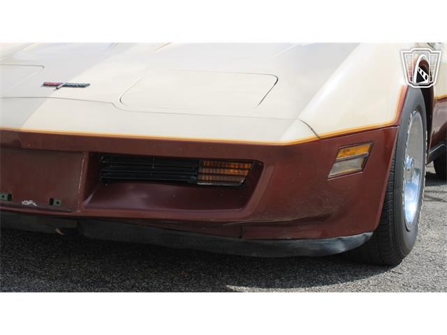 1981 Chevrolet Corvette (CC-2102591) for sale in Crete, Illinois