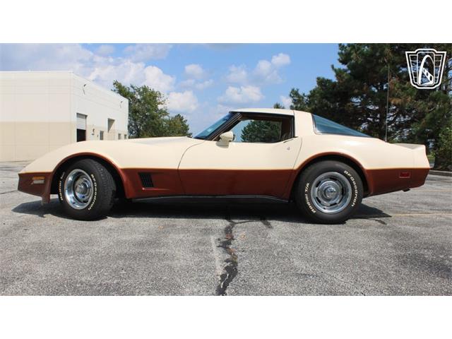 1981 Chevrolet Corvette (CC-2102591) for sale in Crete, Illinois