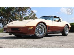 1981 Chevrolet Corvette (CC-2102591) for sale in Crete, Illinois