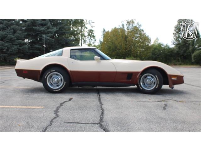1981 Chevrolet Corvette (CC-2102591) for sale in Crete, Illinois