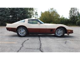 1981 Chevrolet Corvette (CC-2102591) for sale in Crete, Illinois