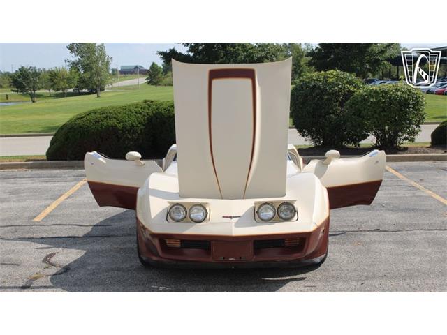 1981 Chevrolet Corvette (CC-2102591) for sale in Crete, Illinois
