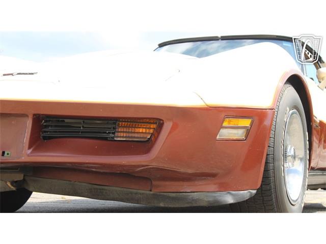 1981 Chevrolet Corvette (CC-2102591) for sale in Crete, Illinois