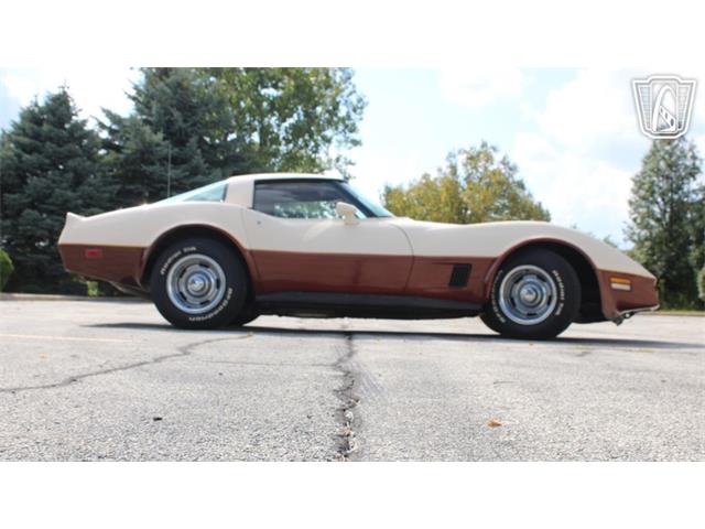 1981 Chevrolet Corvette (CC-2102591) for sale in Crete, Illinois
