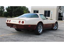 1981 Chevrolet Corvette (CC-2102591) for sale in Crete, Illinois