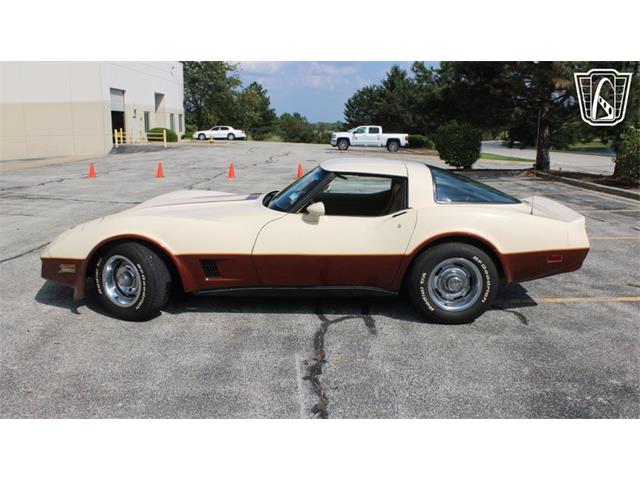 1981 Chevrolet Corvette (CC-2102591) for sale in Crete, Illinois
