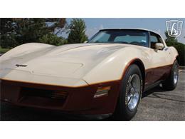 1981 Chevrolet Corvette (CC-2102591) for sale in Crete, Illinois