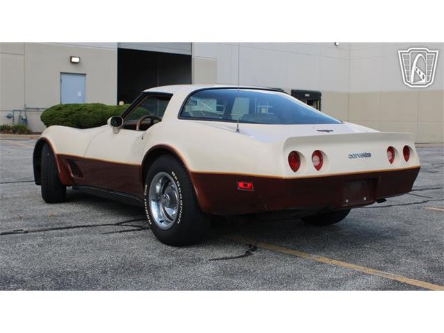 1981 Chevrolet Corvette (CC-2102591) for sale in Crete, Illinois