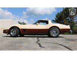 1981 Chevrolet Corvette (CC-2102591) for sale in Crete, Illinois
