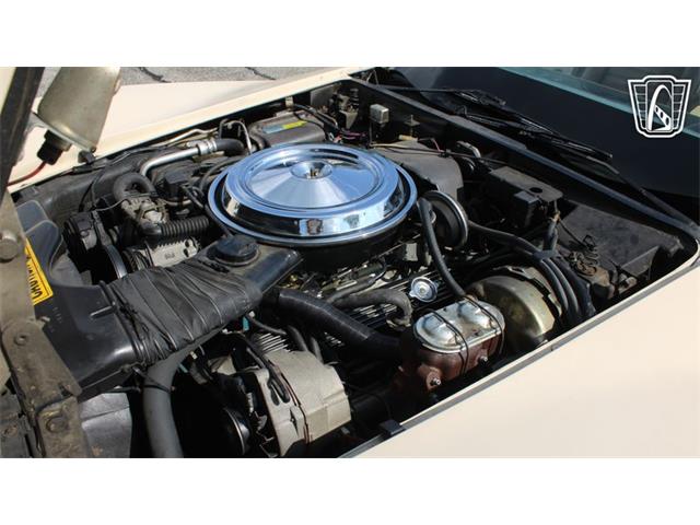 1981 Chevrolet Corvette (CC-2102591) for sale in Crete, Illinois