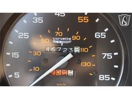 1981 Chevrolet Corvette (CC-2102591) for sale in Crete, Illinois